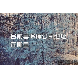 台前县保镖公司地址在哪里