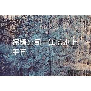 保镖公司一年流水上千万