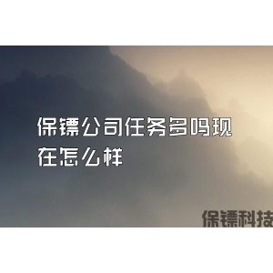 保镖公司任务多吗现在怎么样