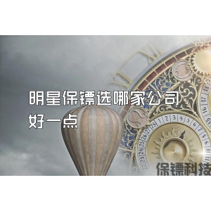 明星保镖选哪家公司好一点