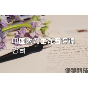 中国大力士龙五保镖公司
