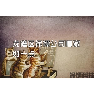 龙湾区保镖公司哪家好一点