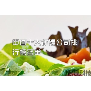 中国十大保镖公司排行榜名单