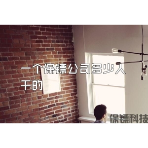 一个保镖公司多少人干的