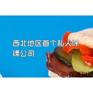 西北地区首个私人保镖公司