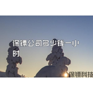 保镖公司多少钱一小时