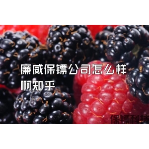 廉威保镖公司怎么样啊知乎