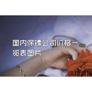 国内保镖公司价格一览表图片
