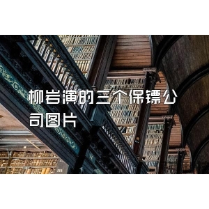 柳岩演的三个保镖公司图片