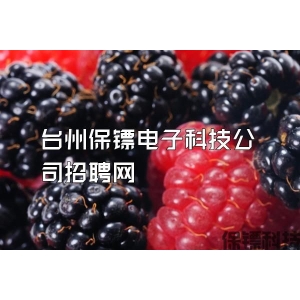 台州保镖电子科技公司招聘网