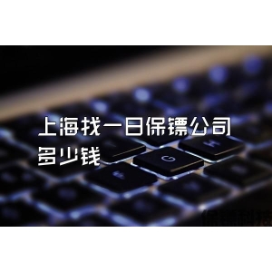 上海找一日保镖公司多少钱