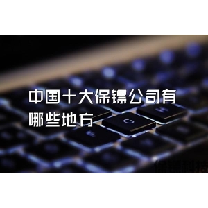 中国十大保镖公司有哪些地方