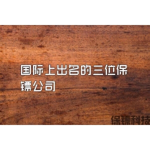 国际上出名的三位保镖公司