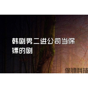 韩剧男二进公司当保镖的剧