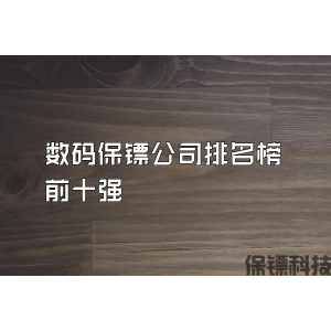 数码保镖公司排名榜前十强