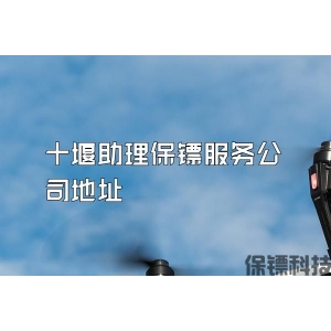 十堰助理保镖服务公司地址
