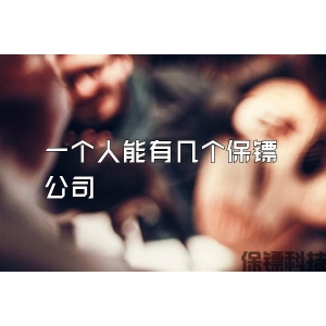 一个人能有几个保镖公司