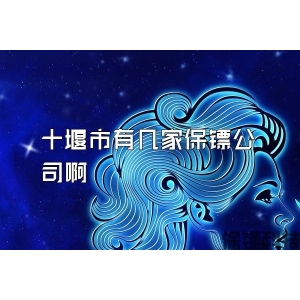 十堰市有几家保镖公司啊