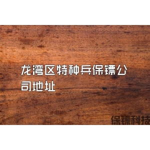 龙湾区特种兵保镖公司地址