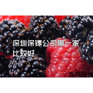 深圳保镖公司哪一家比较好