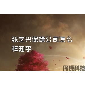 张艺兴保镖公司怎么样知乎