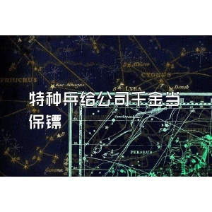 特种兵给公司千金当保镖
