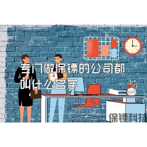 专门做保镖的公司都叫什么名字