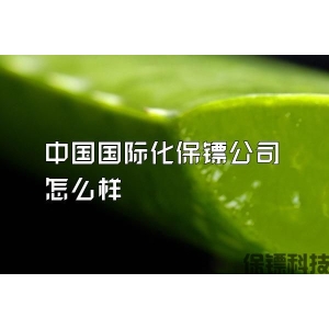 中国国际化保镖公司怎么样