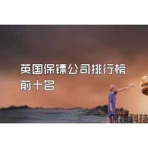 英国保镖公司排行榜前十名
