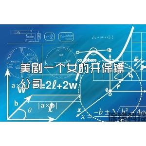 美剧一个女的开保镖公司