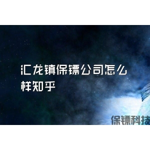 汇龙镇保镖公司怎么样知乎
