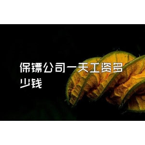 保镖公司一天工资多少钱