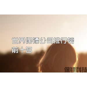 世界保镖公司排行榜前十名