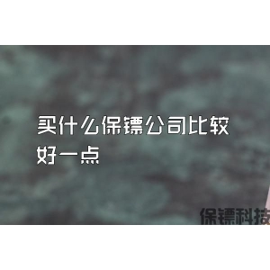 买什么保镖公司比较好一点