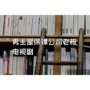 男主是保镖公司老板电视剧