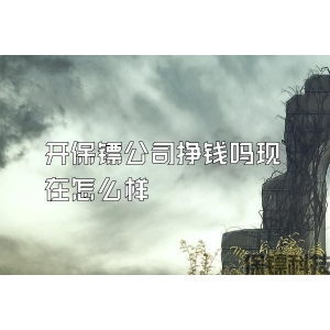 开保镖公司挣钱吗现在怎么样