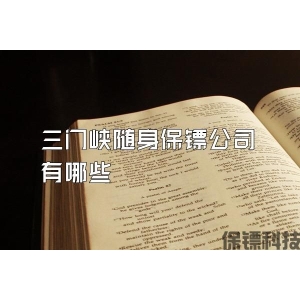 三门峡随身保镖公司有哪些