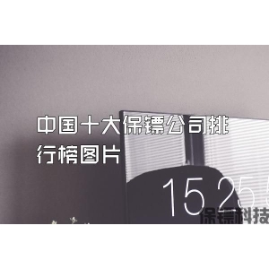 中国十大保镖公司排行榜图片