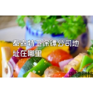 秦森特卫保镖公司地址在哪里