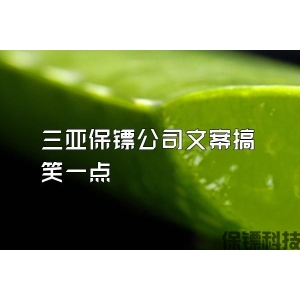 三亚保镖公司文案搞笑一点
