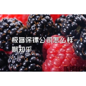极客保镖公司怎么样啊知乎