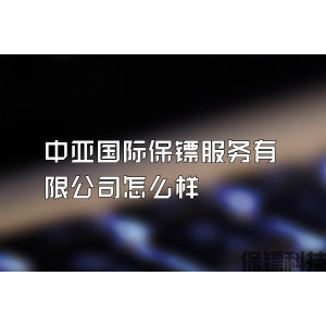 中亚国际保镖服务有限公司怎么样