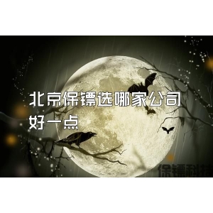 北京保镖选哪家公司好一点