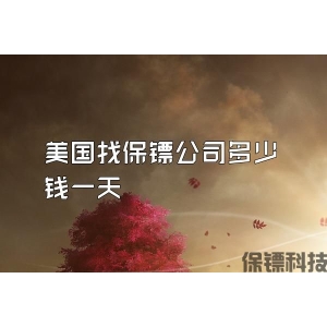 美国找保镖公司多少钱一天