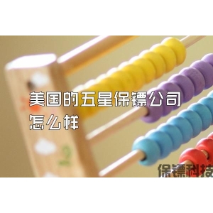 美国的五星保镖公司怎么样