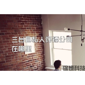 三台县私人保镖公司在哪里