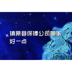 镇原县保镖公司哪家好一点