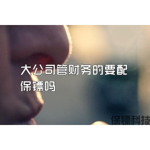 大公司管财务的要配保镖吗