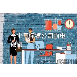 一个开保镖公司的电视剧