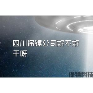 四川保镖公司好不好干呀